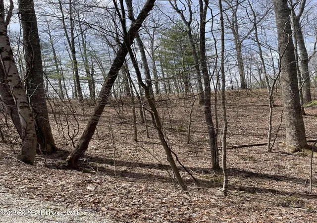 Photo 3 of Land for sale at 11A 11B Hidden Lakes Rd, Topton, NC 28781 | MLS# 100597991 | Listing updated on 2026-08-23