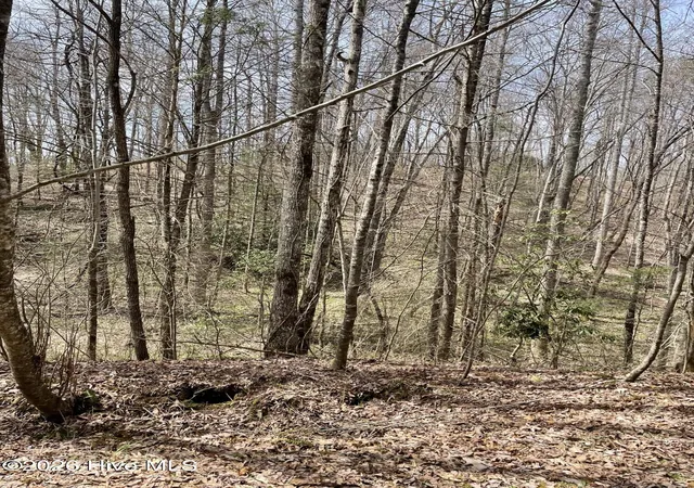 Photo 4 of Land for sale at 11A 11B Hidden Lakes Rd, Topton, NC 28781 | MLS# 100597991 | Listing updated on 2026-08-23
