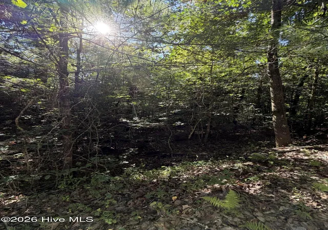 Photo 1 of Land for sale at 0 Explorer Rdg, Murphy, NC 28906 | MLS# 100598978 | Listing updated on 2026-08-26