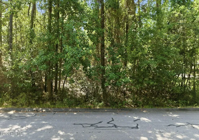 Photo 3 of Land for sale at 112 Ritter Dr, Seven Lakes, NC 27376 | MLS# 100598957 | Listing updated on 2026-08-26