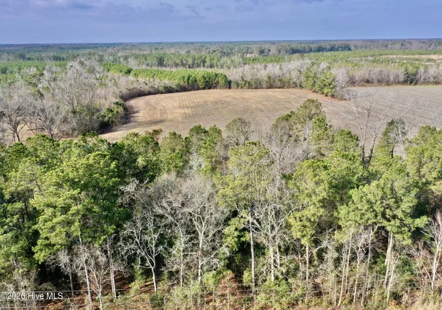 3rd image of 0 Near 4635 Hallsboro Rd N, Clarkton, NC 28433 | MLS# 100598043