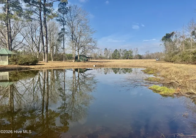4th image of 0 Near 4635 Hallsboro Rd N, Clarkton, NC 28433 | MLS# 100598043