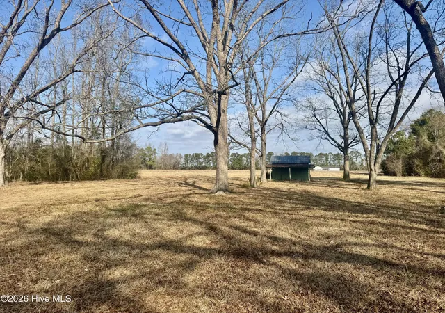 5th image of 0 Near 4635 Hallsboro Rd N, Clarkton, NC 28433 | MLS# 100598043