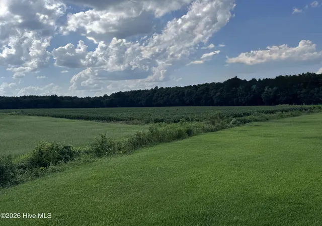 Photo 1 of Land for sale at 252 Haw Branch Rd, Richlands, NC 28574 | MLS# 100597343 | Listing updated on 2026-09-17