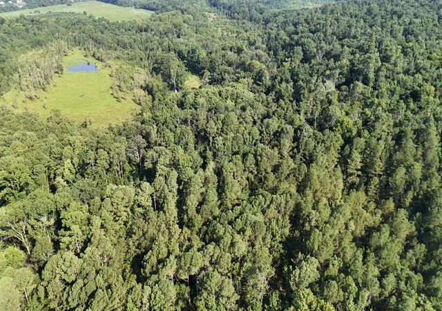 Photo 1 of Land for sale at 0 Swamp Rd, Beech Island, SC 29842 | MLS# 98224703 | Listing updated on 2026-08-18