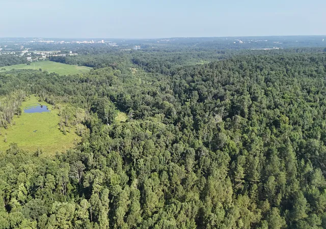 Photo 2 of Land for sale at 0 Swamp Rd, Beech Island, SC 29842 | MLS# 98224703 | Listing updated on 2026-08-18