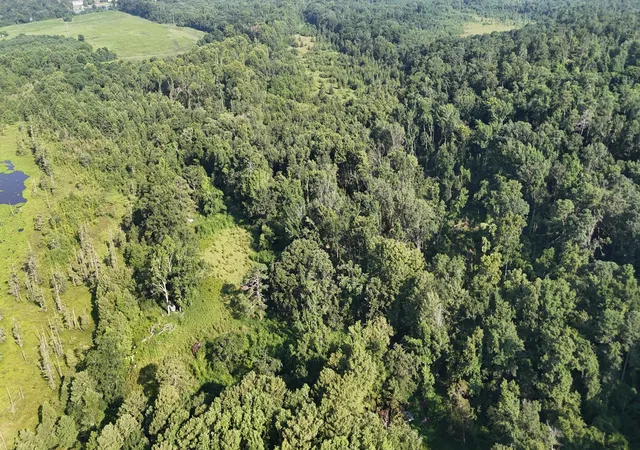 Photo 3 of Land for sale at 0 Swamp Rd, Beech Island, SC 29842 | MLS# 98224703 | Listing updated on 2026-08-18