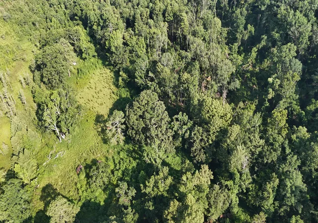 Photo 3 of Land for sale at 0 Swamp Rd, Beech Island, SC 29842 | MLS# 98224703 | Listing updated on 2026-08-18