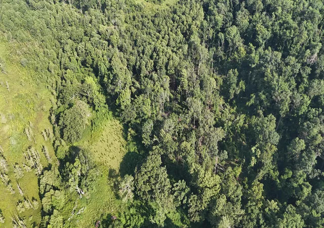 Photo 4 of Land for sale at 0 Swamp Rd, Beech Island, SC 29842 | MLS# 98224703 | Listing updated on 2026-08-18