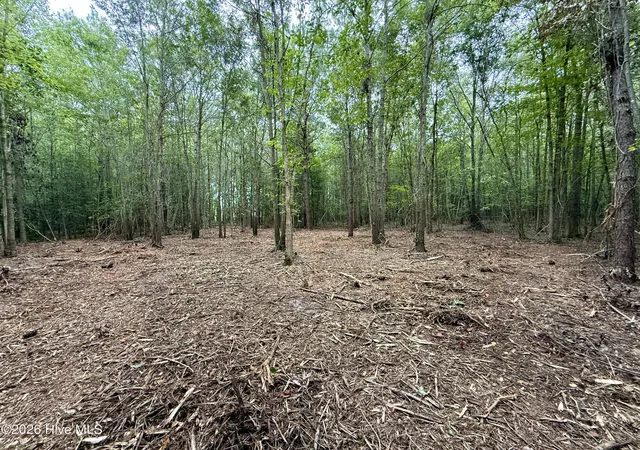 Photo 3 of Land for sale at Lot 2 Mobley Rd, Lucama, NC 27851 | MLS# 100598195 | Listing updated on 2026-09-21