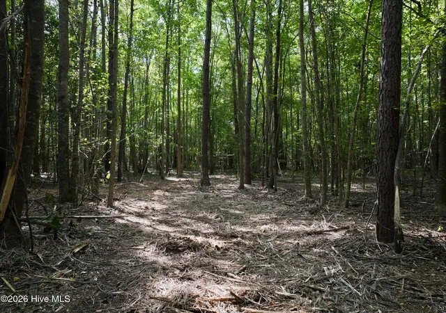 Photo 4 of Land for sale at Lot 2 Mobley Rd, Lucama, NC 27851 | MLS# 100598195 | Listing updated on 2026-09-21