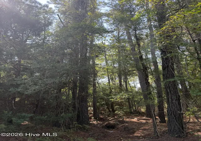 Photo 4 of Land for sale at 2865 Robin Dr Sw, Shallotte, NC 28470 | MLS# 100598841 | Listing updated on 2026-08-25