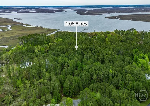 Photo 3 of Land for sale at Lot 216 Riverpoint Ln Ne, Townsend, GA 31331 | MLS# SA363116 | Listing updated on 2026-08-23