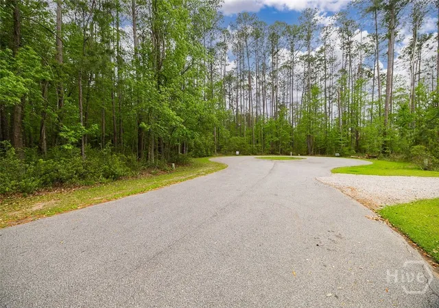 Photo 4 of Land for sale at Lot 216 Riverpoint Ln NE, Townsend, GA 31331 | MLS# SA363116 | Listing updated on 2026-08-23
