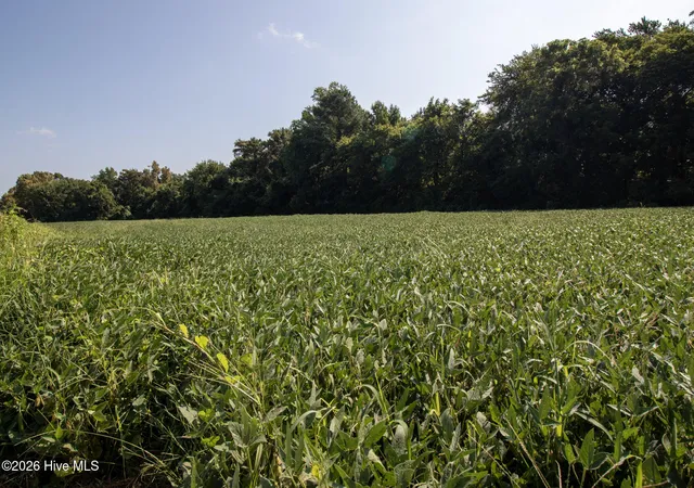 Photo 1 of Land for sale at 00 Swamp Rd, Hertford, NC 27944 | MLS# 100597685 | Listing updated on 2026-09-21
