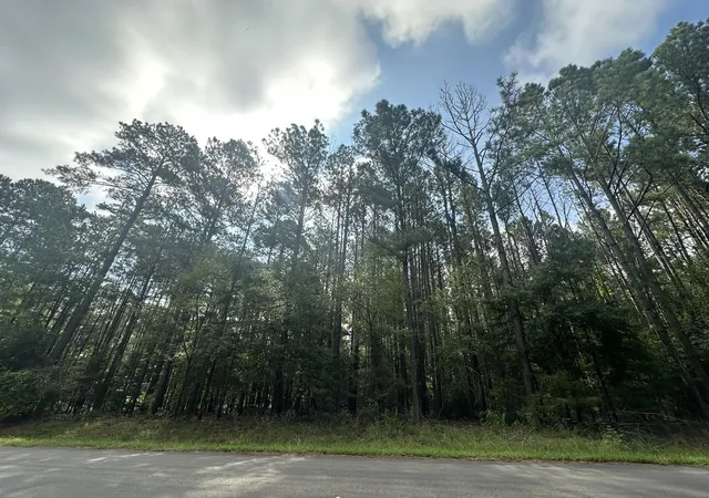 Photo 1 of Land for sale at Lot 1 Dogwood Ln, Plum Branch, SC 29845 | MLS# 98224678 | Listing updated on 2026-08-18