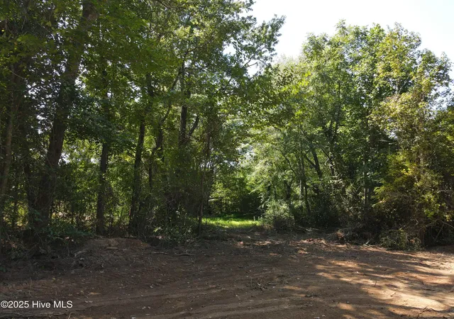 Photo 3 of Land for sale at 00 Alert Rd, Louisburg, NC 27549 | MLS# 100598662 | Listing updated on 2026-10-07