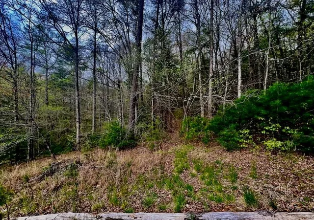 Photo 18 of Single family home for sale at 16378 W U S 64 Hwy, Murphy, NC 28906 | MLS# 98543959 | Listing updated on 2026-08-18