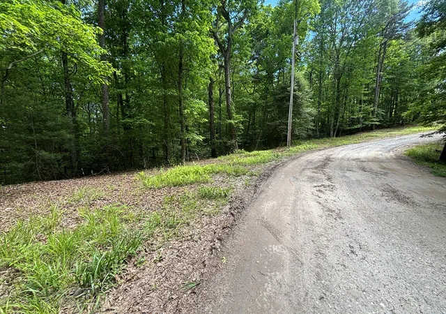 Photo 3 of Land for sale at Lot 1b Forest Ln, Murphy, NC 28906 | MLS# 98544462 | Listing updated on 2026-08-28