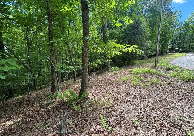 Photo 4 of Land for sale at Lot 1b Forest Ln, Murphy, NC 28906 | MLS# 98544462 | Listing updated on 2026-08-28