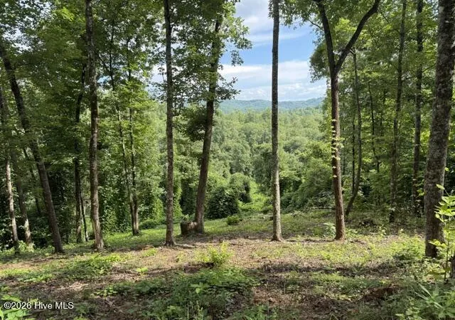 Photo 3 of Land for sale at Lot 25 Bryson Crk Dr, Murphy, NC 28906 | MLS# 100589582 | Listing updated on 2026-09-15