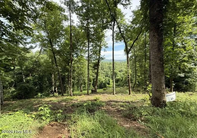 Photo 3 of Land for sale at Lot 25 Bryson Crk Dr, Murphy, NC 28906 | MLS# 100589582 | Listing updated on 2026-09-15