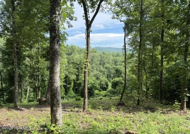 Photo 4 of Land for sale at Lot 25 Bryson Crk Dr, Murphy, NC 28906 | MLS# 100589582 | Listing updated on 2026-09-15