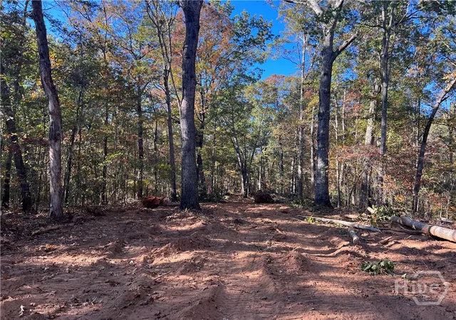 Photo 3 of Land for sale at 3 Curry Fls Trl Rd #3, Athens, GA 30607 | MLS# CL354735 | Listing updated on 2026-08-26
