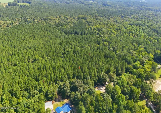 Photo 4 of Land for sale at Off Pats Rd, Vass, NC 28394 | MLS# 100586501 | Listing updated on 2026-08-22