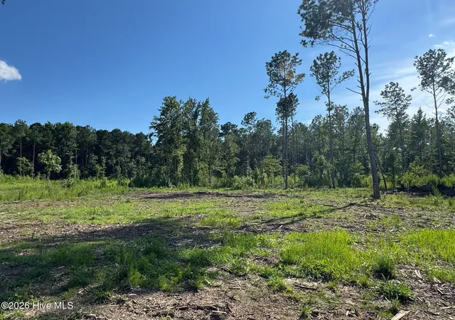 24th image of 1319 Bill Hooks Rd, Whiteville, NC 28472 | MLS# 100590323