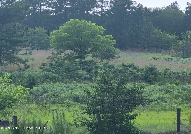 Photo 3 of Land for sale at Tbd Dusty Trl, Aberdeen, NC 28315 | MLS# 100599522 | Listing updated on 2026-09-03