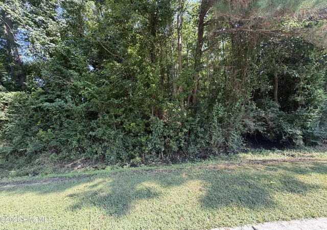 Photo 3 of Land for sale at 256 Sylvester St, Richlands, NC 28574 | MLS# 100595602 | Listing updated on 2026-08-21