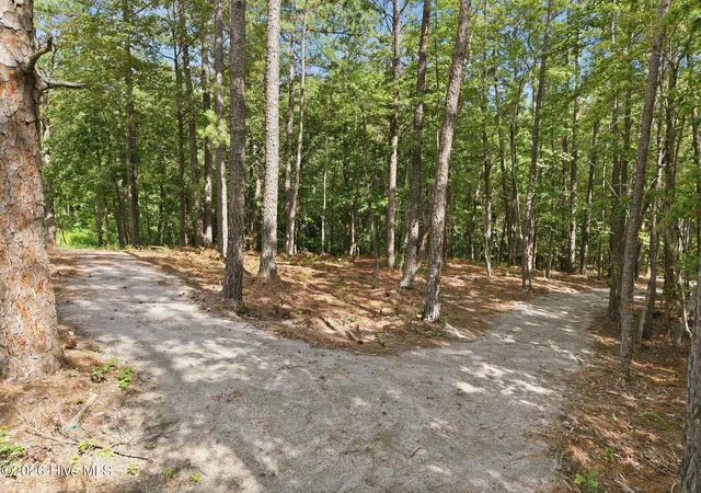 Photo 55 of Townhouse for sale at 232 Elijah Way #8, Vass, NC 28394 | MLS# 100540108 | Listing updated on 2026-09-03