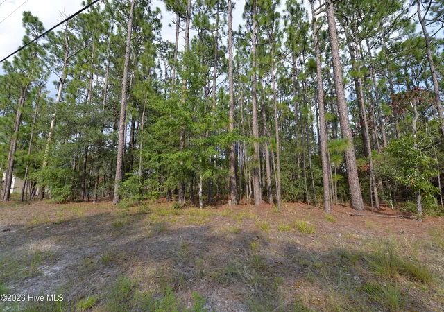 Photo 1 of Land for sale at 873 & 881 Eden Dr, Southport, NC 28461 | MLS# 100598943 | Listing updated on 2026-08-26