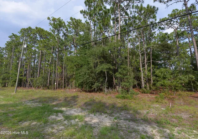 Photo 2 of Land for sale at 873 & 881 Eden Dr, Southport, NC 28461 | MLS# 100598943 | Listing updated on 2026-08-26