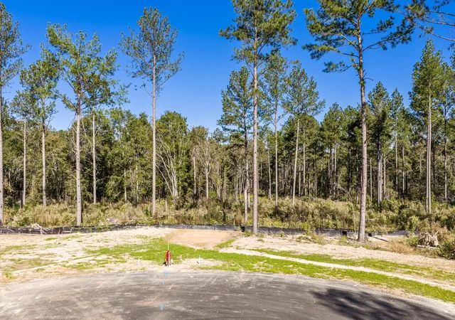 Photo 4 of Land for sale at 175 Beagle Chase Dr, Appling, GA 30802 | MLS# 98225133 | Listing updated on 2026-08-18