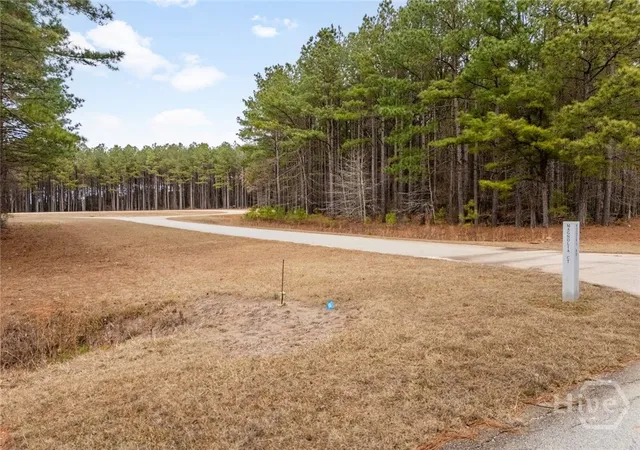 Photo 2 of Land for sale at 1342 Magnolia Ct, Tignall, GA 30668 | MLS# CL361191 | Listing updated on 2026-08-19