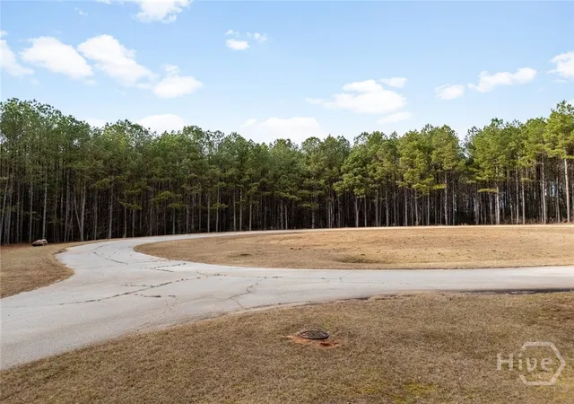 Photo 4 of Land for sale at 1342 Magnolia Ct, Tignall, GA 30668 | MLS# CL361191 | Listing updated on 2026-08-19