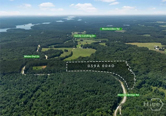 Photo 3 of Land for sale at 0 Hornets Brg Rd, Elberton, GA 30635 | MLS# CL359876 | Listing updated on 2026-08-26
