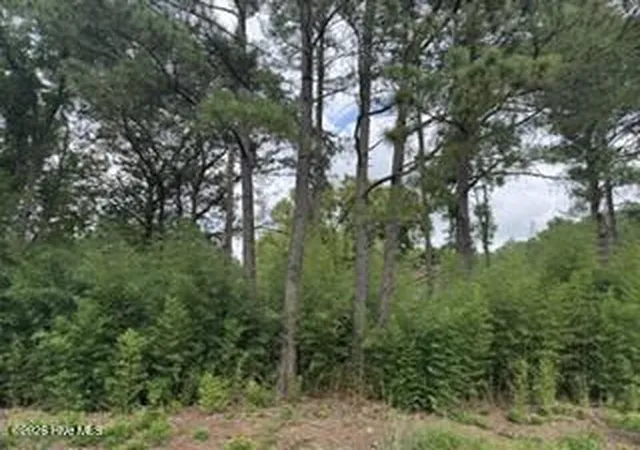 Photo 2 of Land for sale at 1298 Moores Chapel Rd, Lillington, NC 27546 | MLS# 100598632 | Listing updated on 2026-09-01