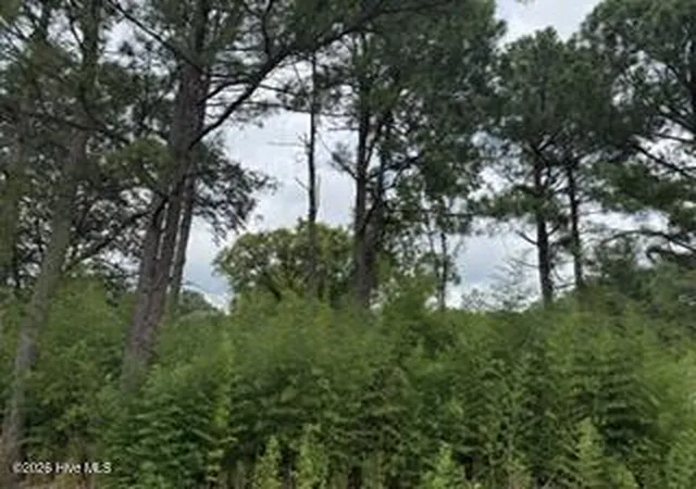 Photo 3 of Land for sale at 1298 Moores Chapel Rd, Lillington, NC 27546 | MLS# 100598632 | Listing updated on 2026-09-01