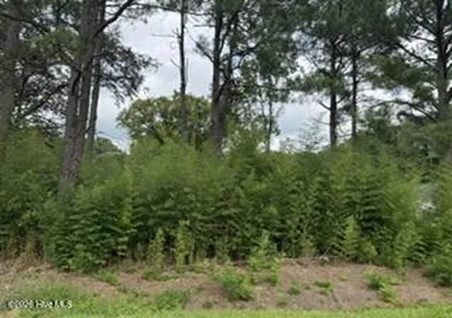 Photo 4 of Land for sale at 1298 Moores Chapel Rd, Lillington, NC 27546 | MLS# 100598632 | Listing updated on 2026-09-01