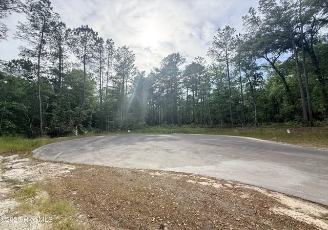 Photo 4 of Land for sale at Lot 5 Peach Ct, Burgaw, NC 28425 | MLS# 100568970 | Listing updated on 2026-08-25