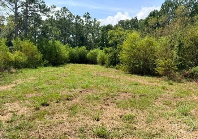 13th image of 81 Daphney Ln, Statesboro, GA 30458 | MLS# SA363427