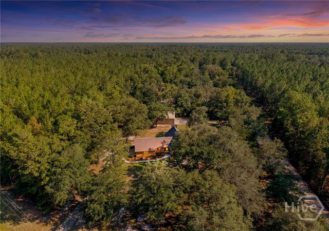 44th image of 1021 Ig Lanier Rd, Pembroke, GA 31321 | MLS# SA363400