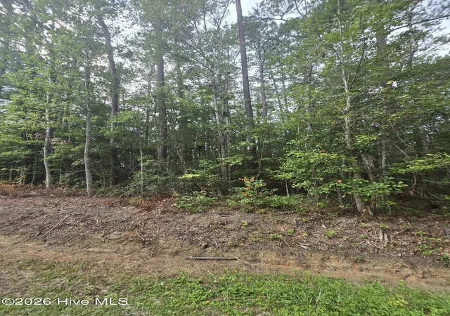 Photo 3 of Land for sale at 6 Myrtlewood Dr Sw, Carolina Shores, NC 28467 | MLS# 100596646 | Listing updated on 2026-10-07