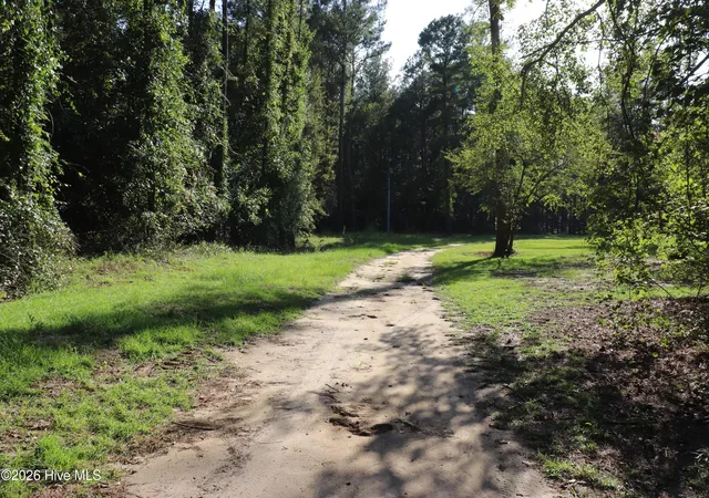 Photo 3 of Land for sale at Tbd River Hvn Ln, Harrells, NC 28444 | MLS# 100597369 | Listing updated on 2026-08-20