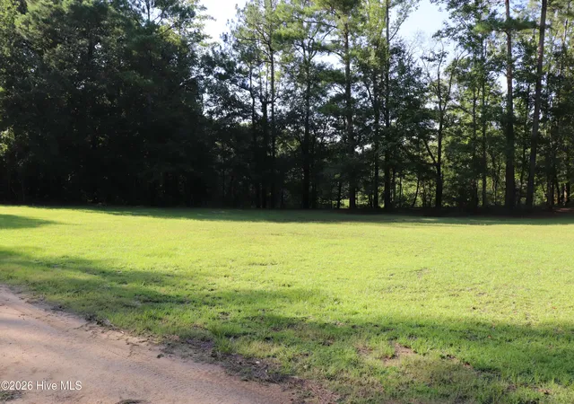 Photo 4 of Land for sale at Tbd River Hvn Ln, Harrells, NC 28444 | MLS# 100597369 | Listing updated on 2026-08-20