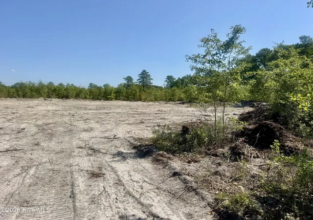 Photo 1 of Land for sale at 0 Dowd Dairy Rd, White Oak, NC 28399 | MLS# 100598926 | Listing updated on 2026-08-26