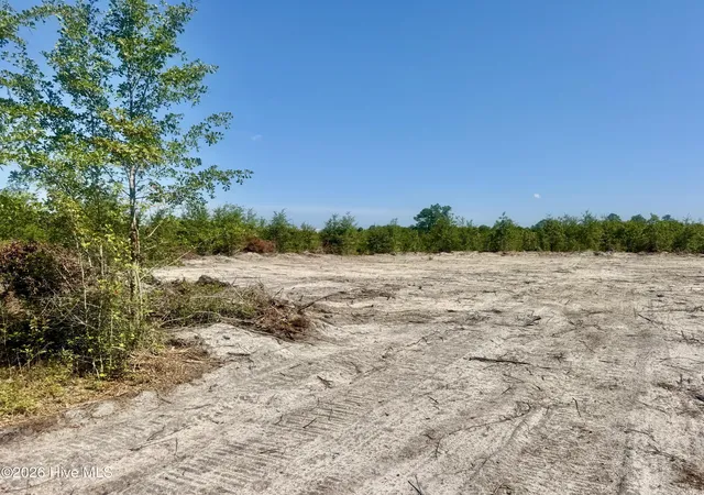 Photo 2 of Land for sale at 0 Dowd Dairy Rd, White Oak, NC 28399 | MLS# 100598926 | Listing updated on 2026-08-26